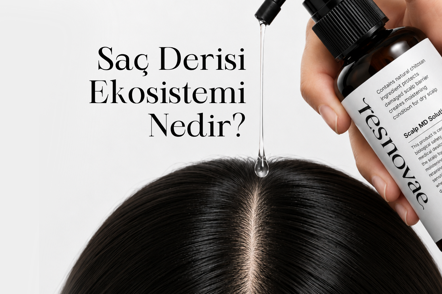 SAÇ DERİSİ BİLİMİ - Saç Derisi Ekosistemi Nedir?